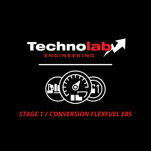 Engine reprogramming STAGE 1 & E85 BIOETHANOL FLEXFUEL CONVERSION
